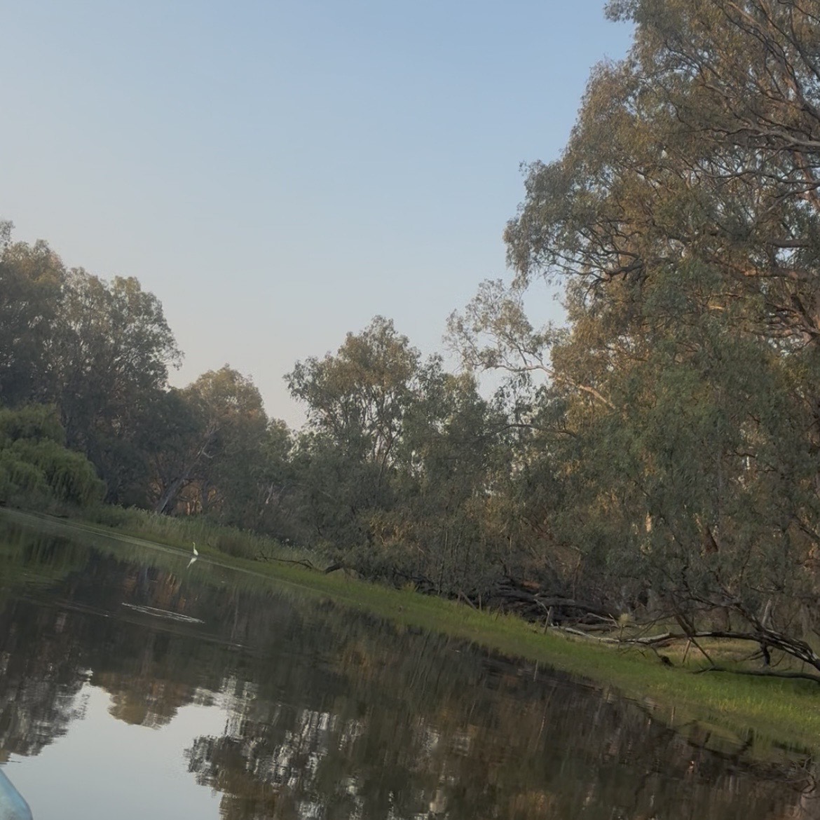 Wetlands Guided Paddle - Noreuil Park Foreshore to Wetlands Boat Ramp 